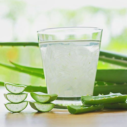 Aloe Vera (5.5 lbs can)
