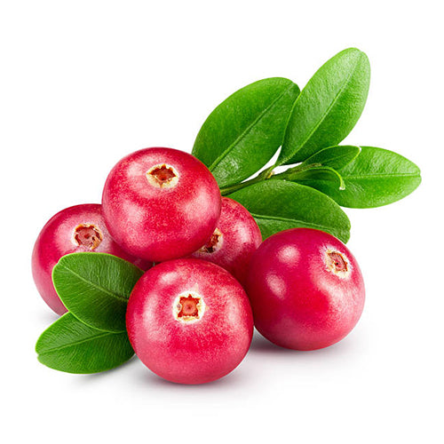 Cranberry Sour flavored powders for Bubble Tea Drinks