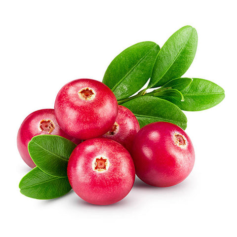 Cranberry Sour flavored powders for Bubble Tea Drinks