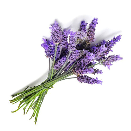 Lavender cream powders (2.2 lbs bag) for Bubble Tea Drinks