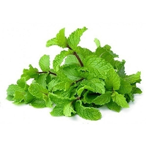 Mint Syrup for making Bubble Tea Drinks